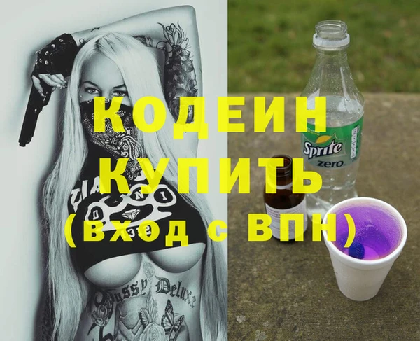 индика Вязники
