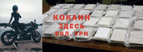 индика Горно-Алтайск