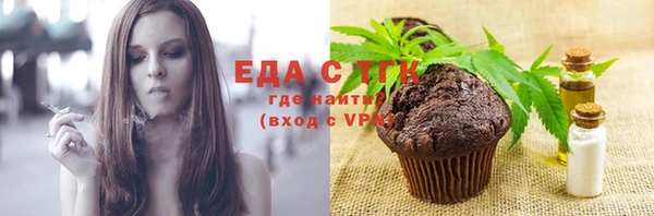 индика Горно-Алтайск