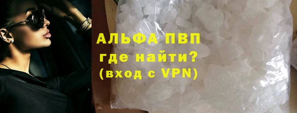индика Горно-Алтайск