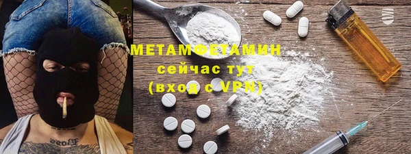 индика Горно-Алтайск