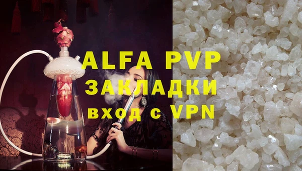 PSILOCYBIN Горнозаводск