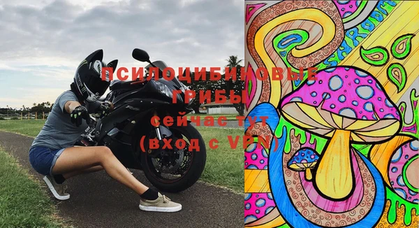 PSILOCYBIN Горнозаводск