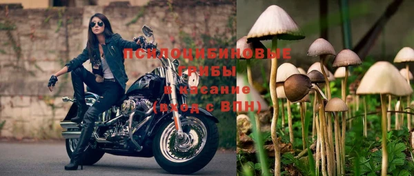не бодяженный Горняк