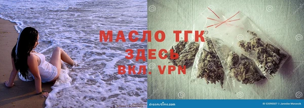 индика Горно-Алтайск
