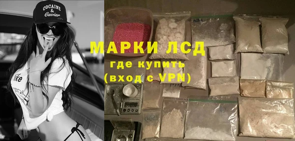 индика Горно-Алтайск