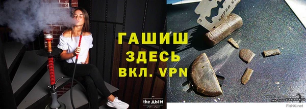 индика Горно-Алтайск