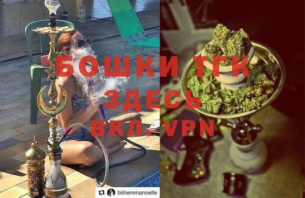 PSILOCYBIN Горнозаводск