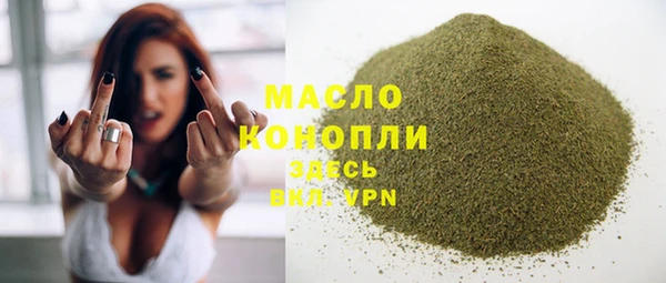 индика Горно-Алтайск