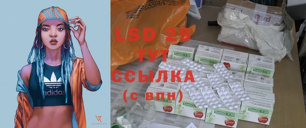PSILOCYBIN Горнозаводск