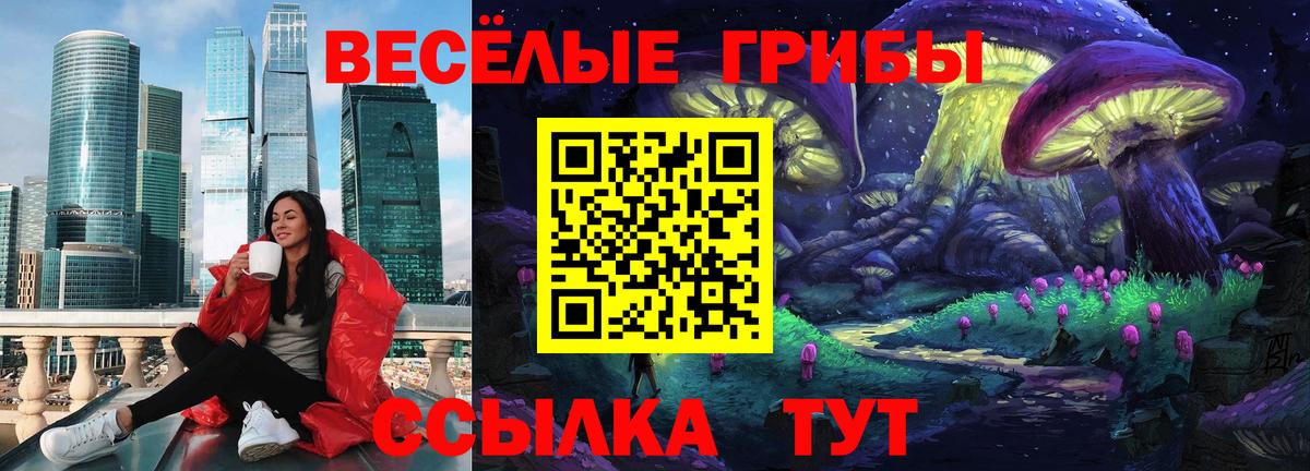 Галлюциногенные грибы Magic Shrooms  купить  цена  Галлюциногенные грибы ЛСД  Липецк  Вход с VPN 