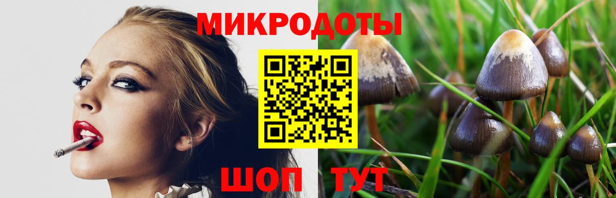 Псилоцибиновые грибы Magic Shrooms Липецк